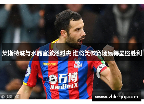 莱斯特城与水晶宫激烈对决 谁将笑傲赛场赢得最终胜利