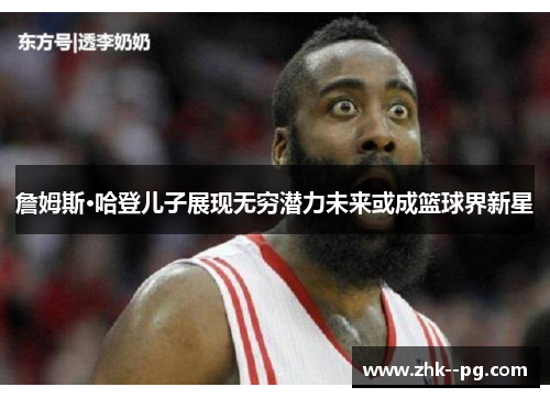 詹姆斯·哈登儿子展现无穷潜力未来或成篮球界新星